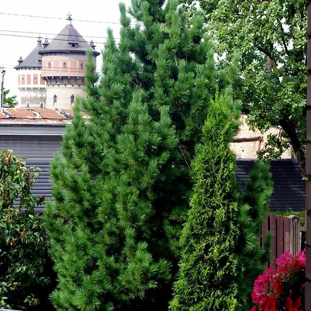 Apartment Villand For 6 With Sauna And Free Private Parking And Self Check In