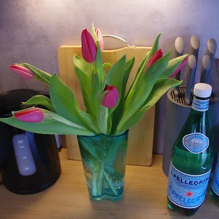 Villand For 6 With Sauna And Free Private Parking And Self Check In Апартаменты